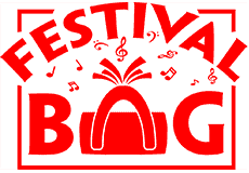 festival-bag